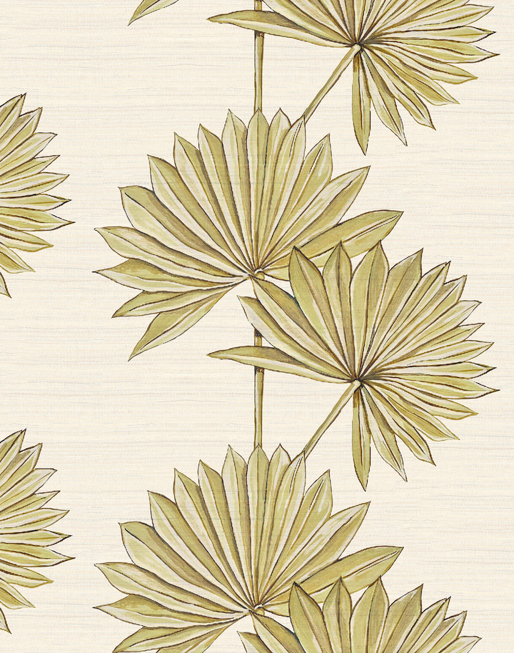 Palmetto, Blanca