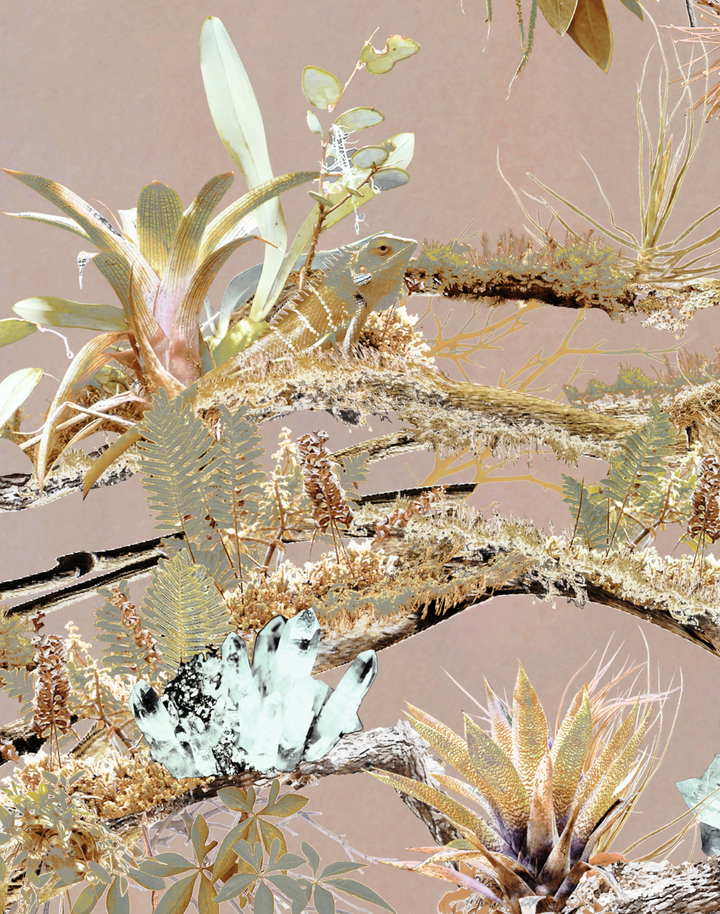 Paradise Tree Garden, Blush