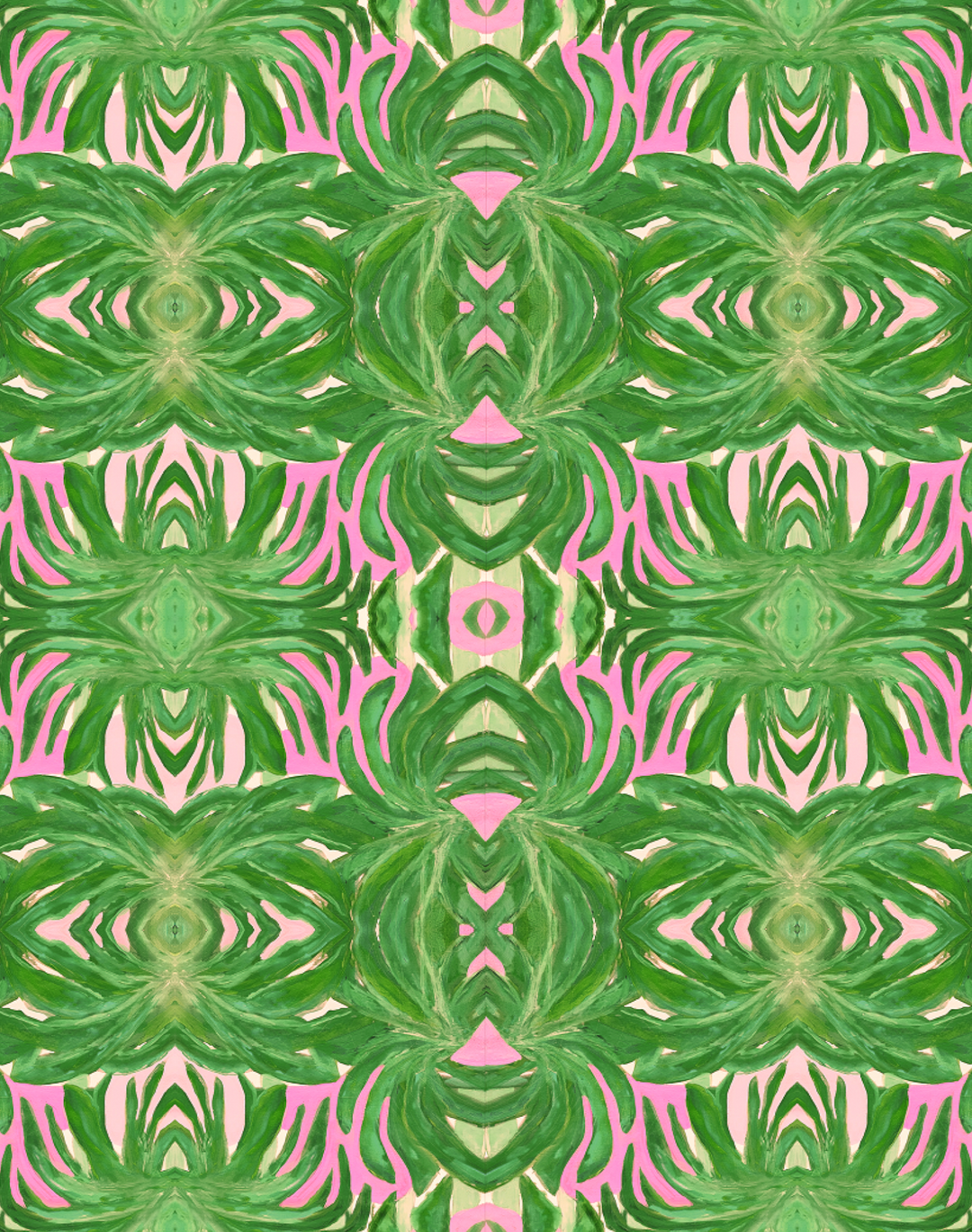 Parakeet Monstera