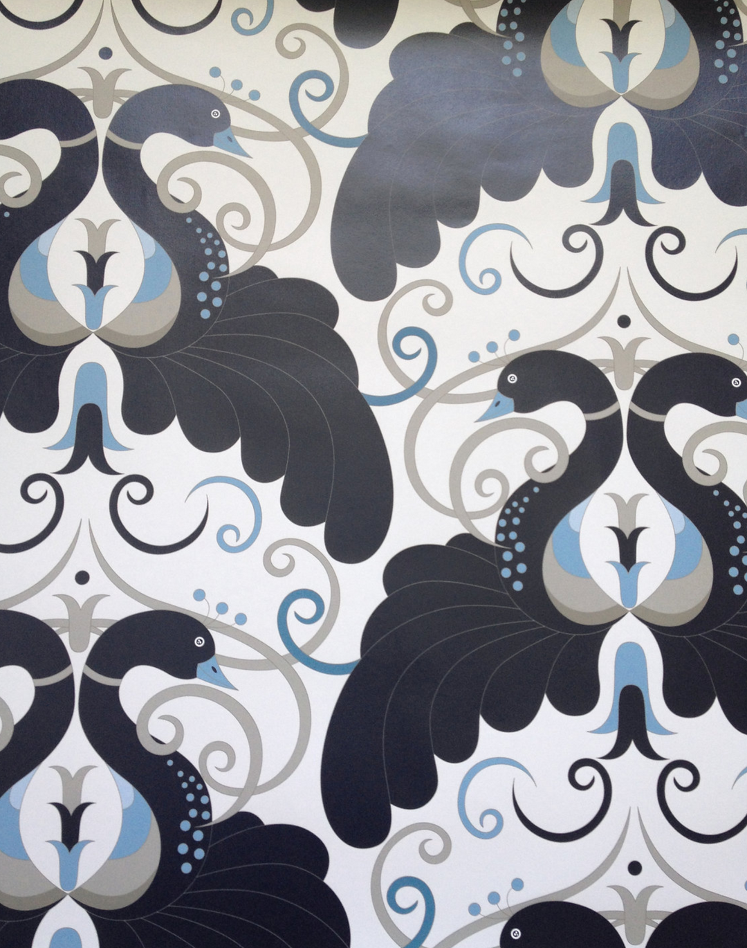 Peacock, Black