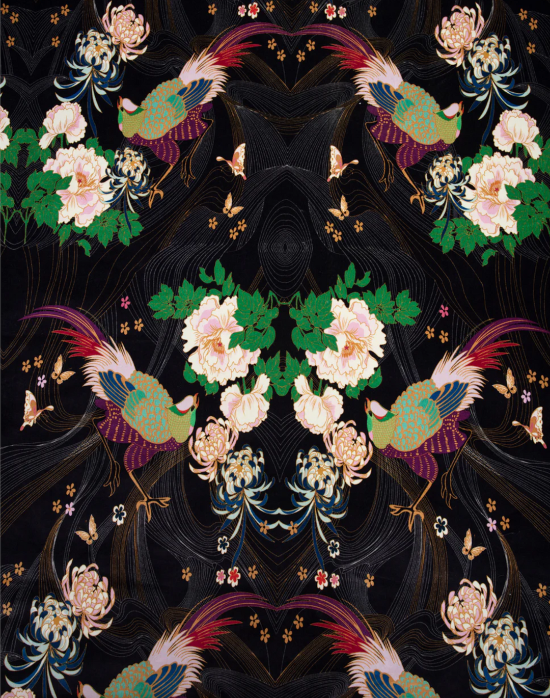 Phoenix Black, Velvet Fabric