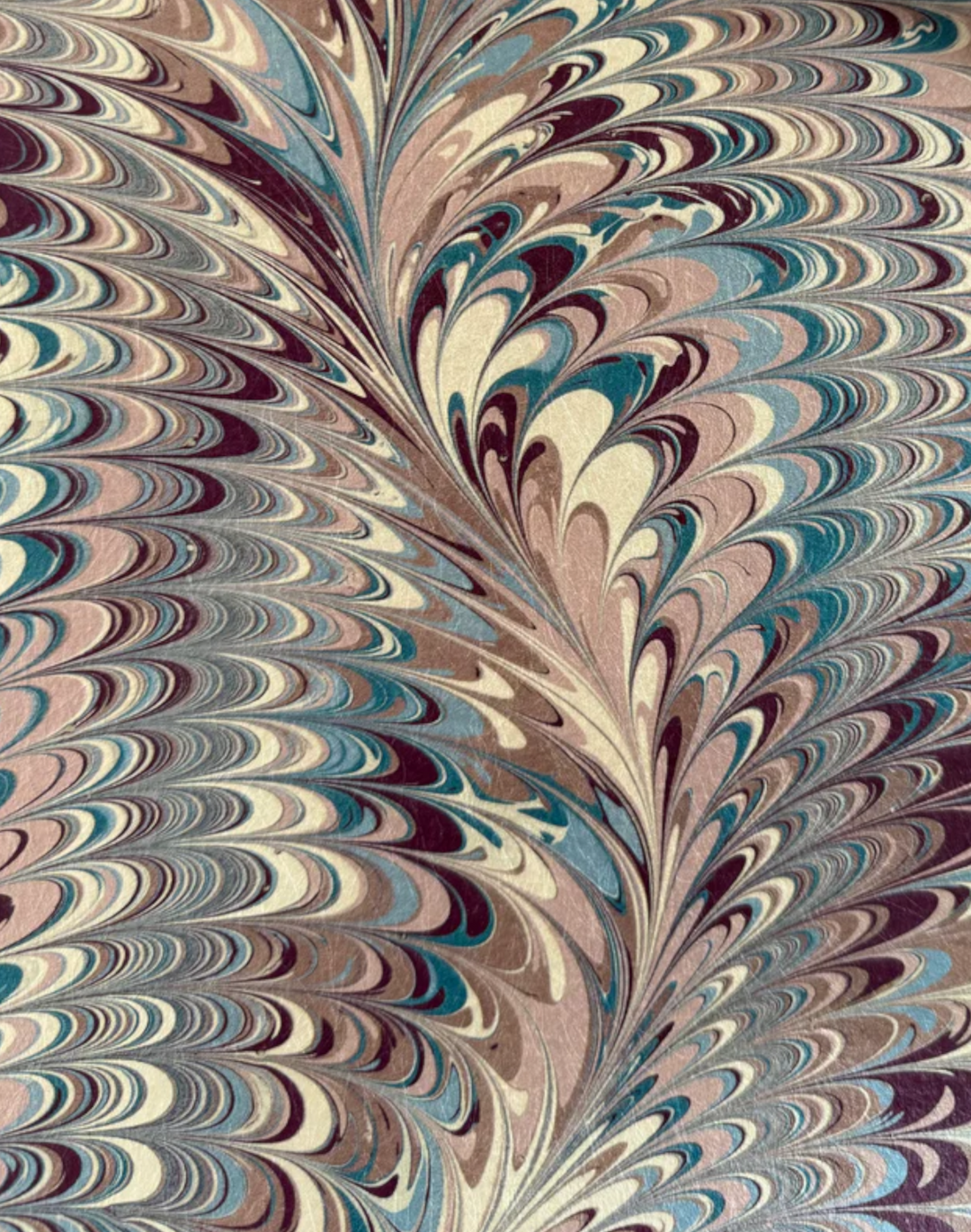Pirouette, Berry Imperial