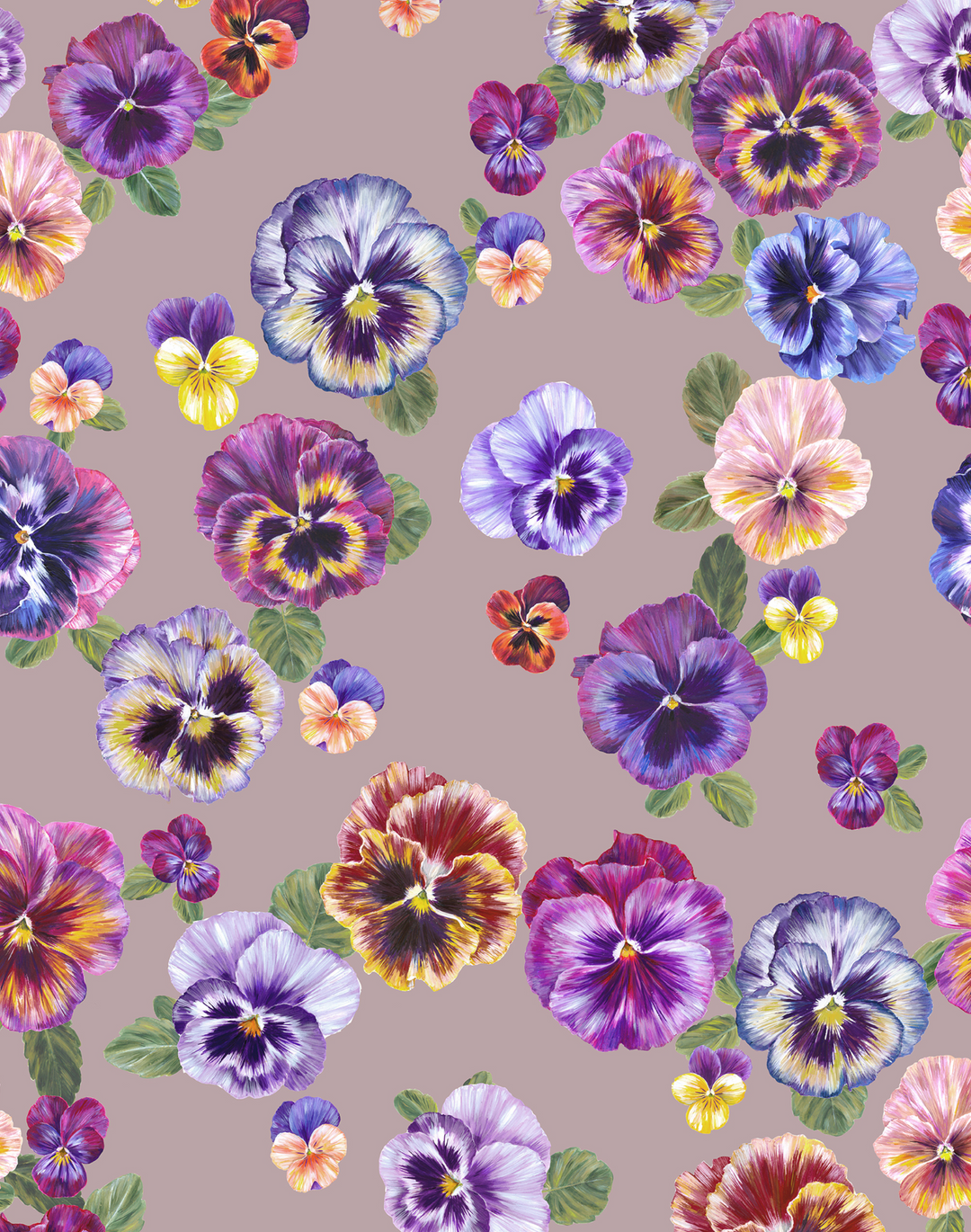 Plethora of Pansies, Bruised Pink  Medium Pile Velvet