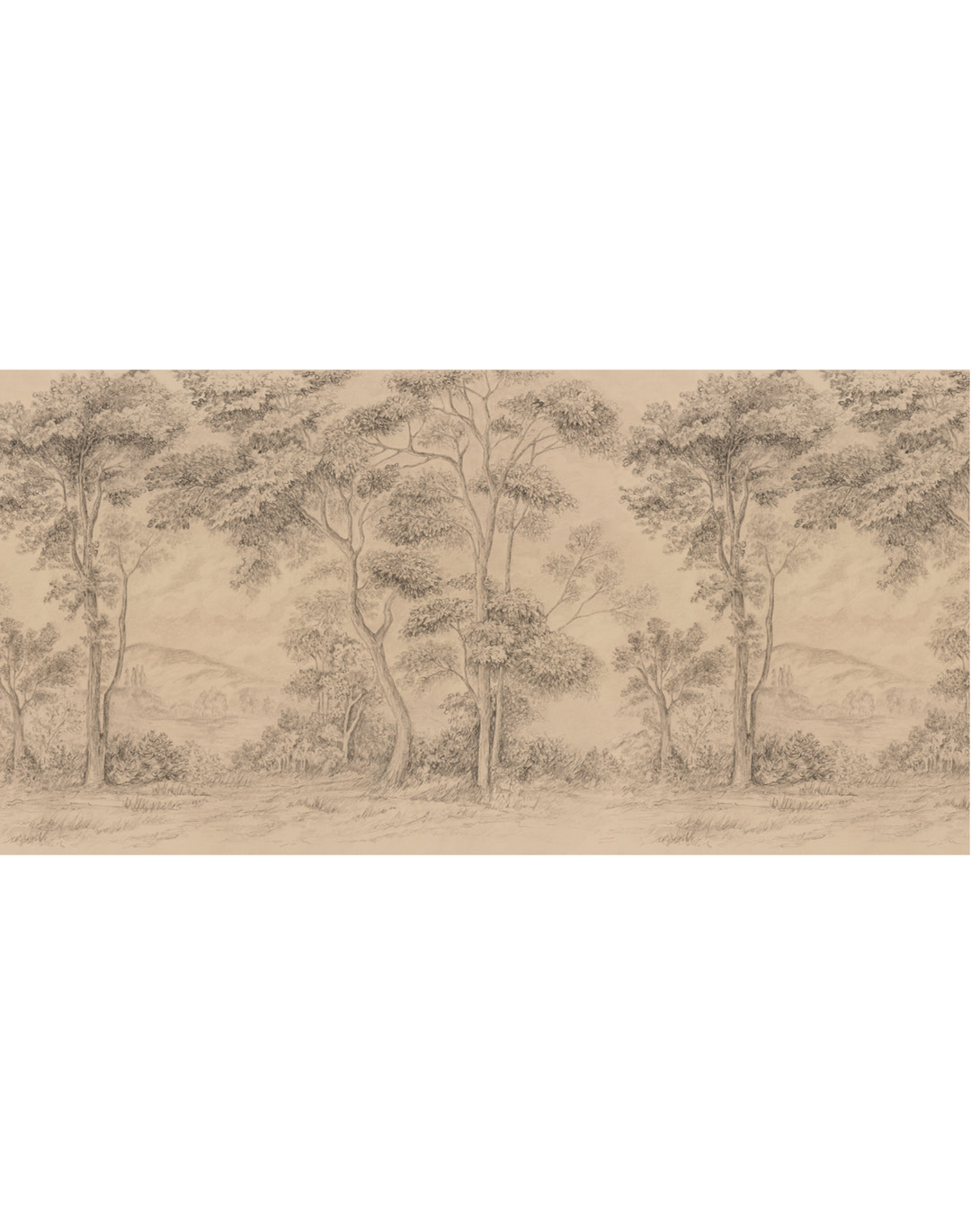 Reflections, Sepia WPLN0155
