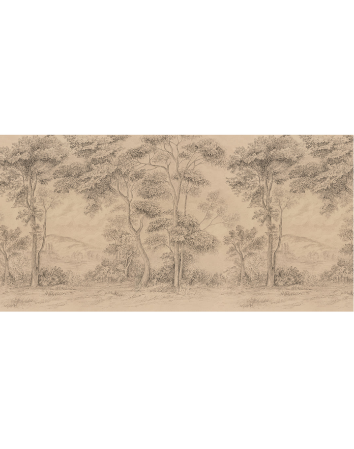 Reflections, Sepia WPLN0155