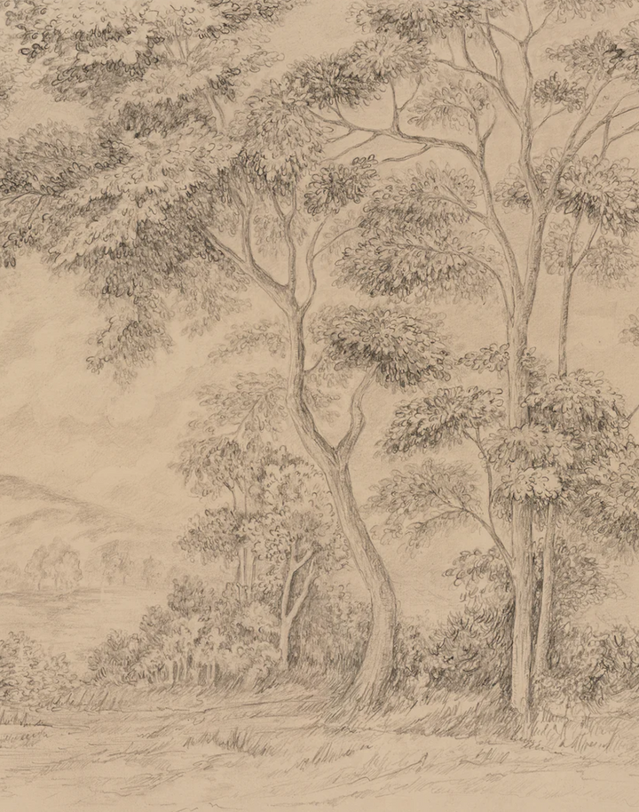 Reflections, Sepia WPLN0155