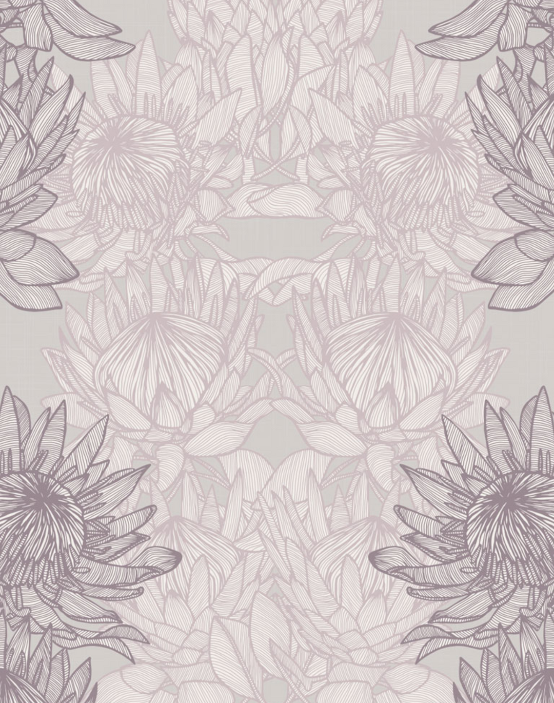 Regal Protea, Ash
