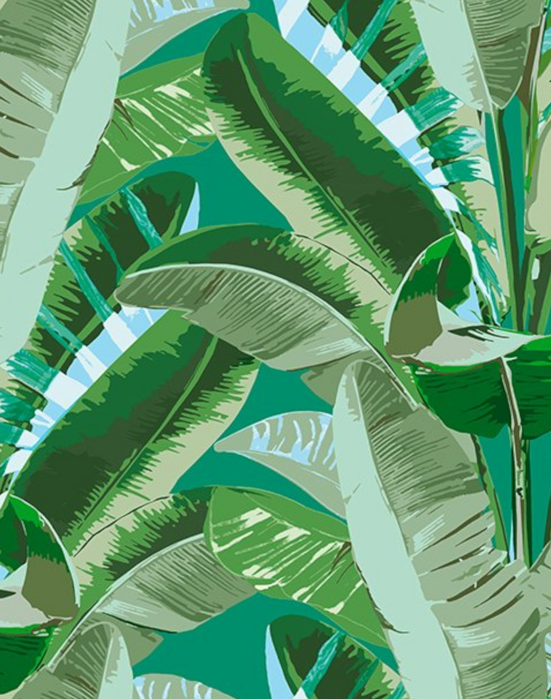 Rodeo Drive, Green on Jade