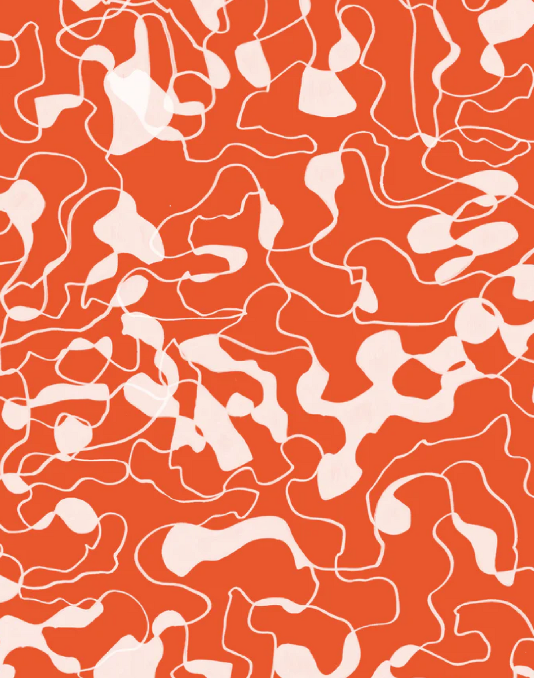 Samba, Orange Coral