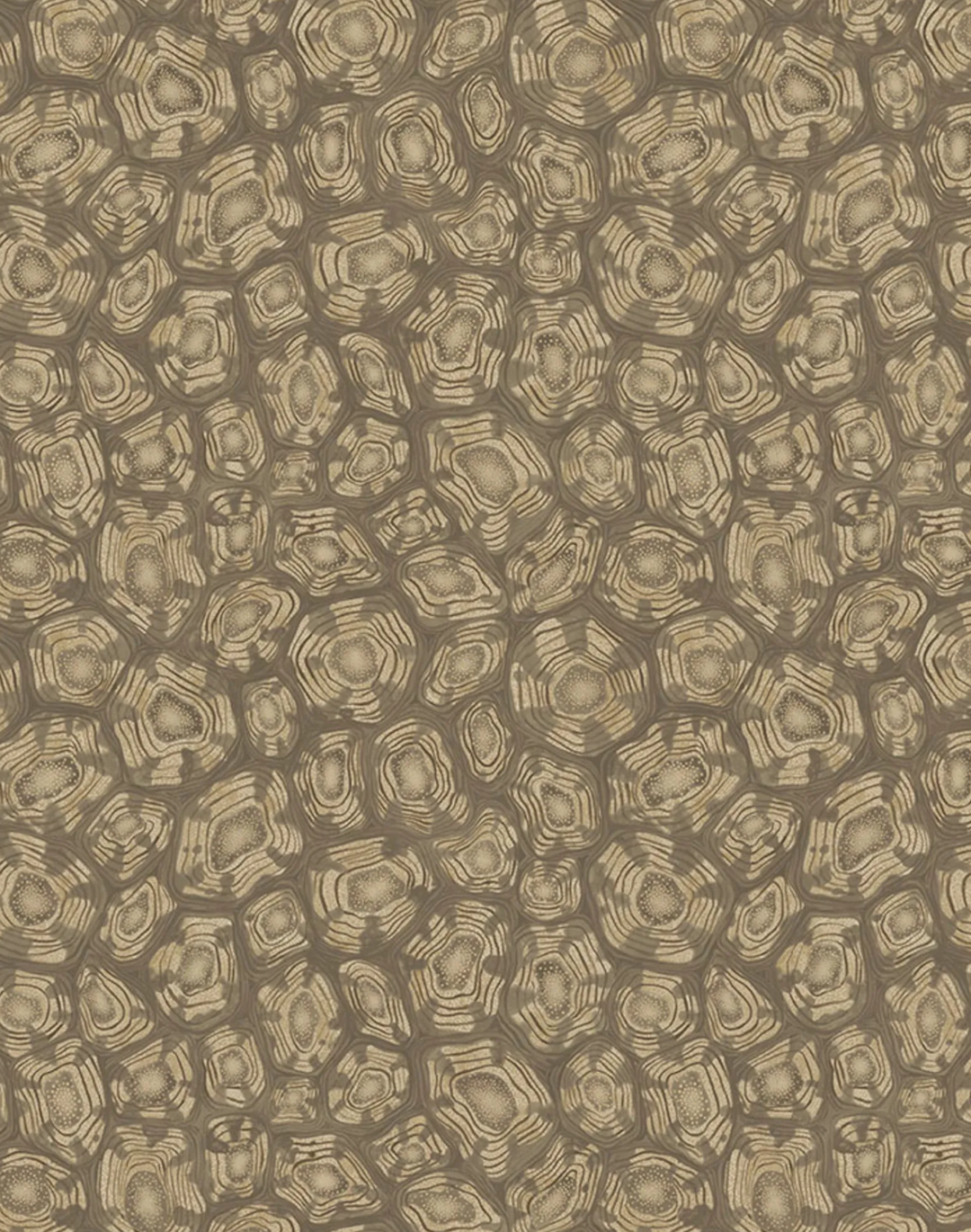 Savanna Shell, Metallic Gilver with Cedar & Metallic Gold 119/4020