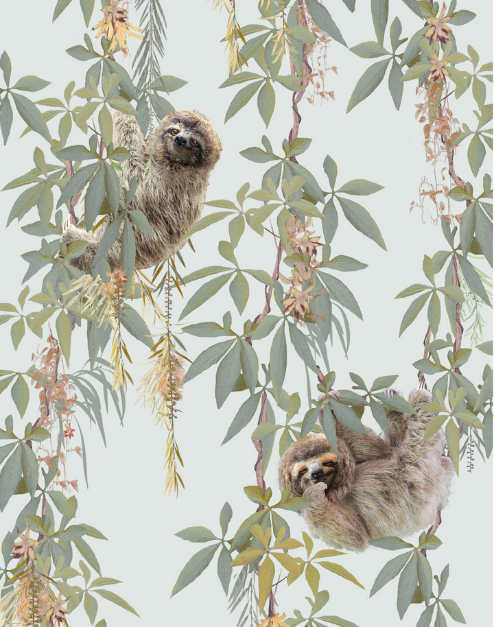 Sloth Trot, Ice