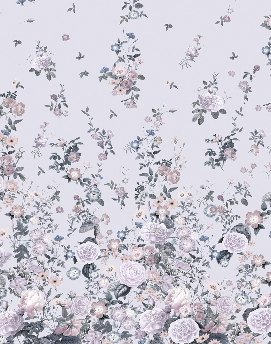Spring MWP024