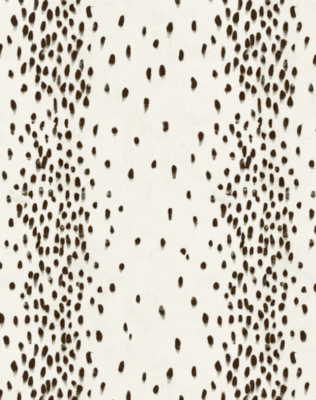 Tottenham Dalmatian, Cocoa