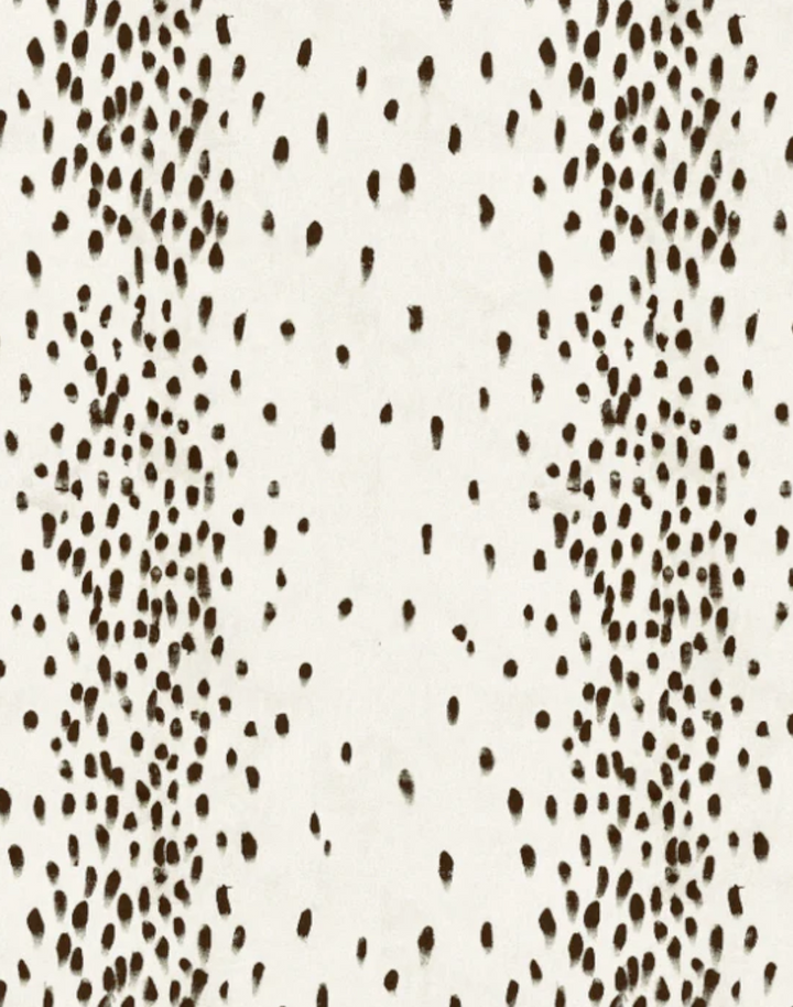 Tottenham Dalmatian, Cocoa