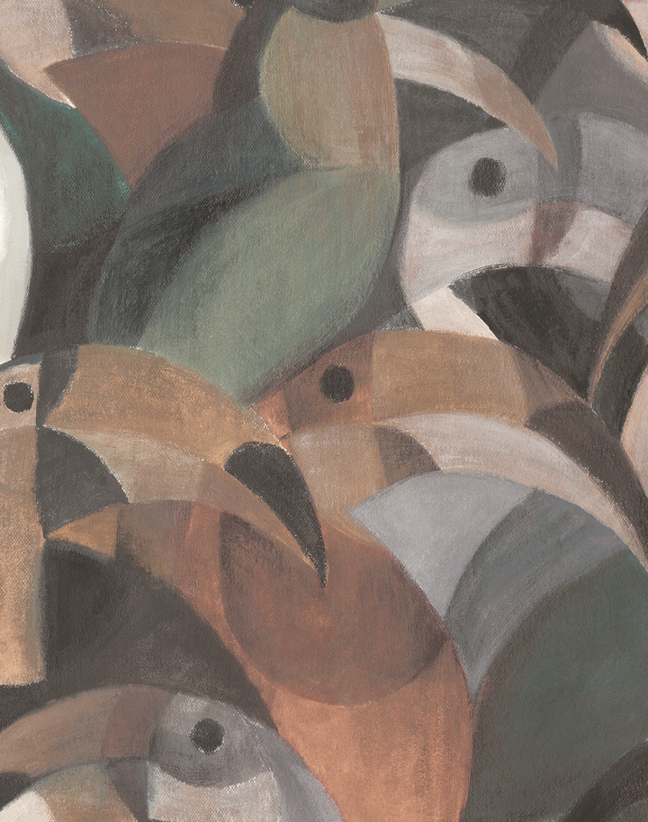 Toucan, Sand Storm WPLC0617