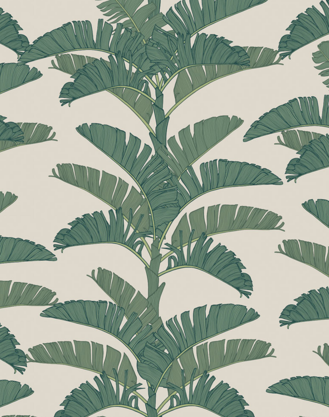 Tropical Plantation, Jungle