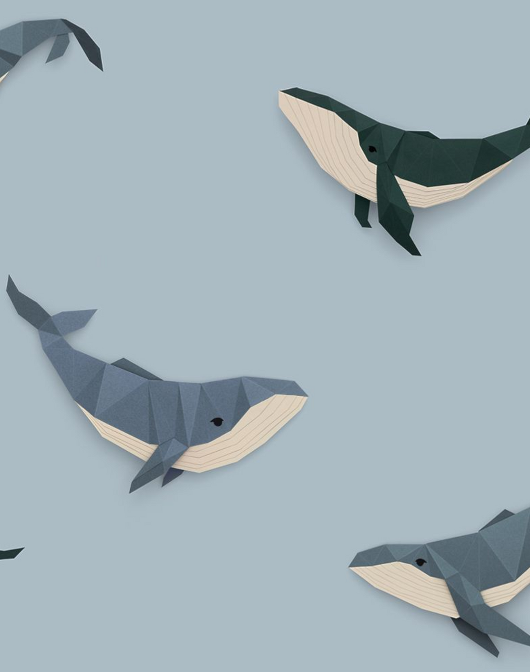Whale, Light Blue