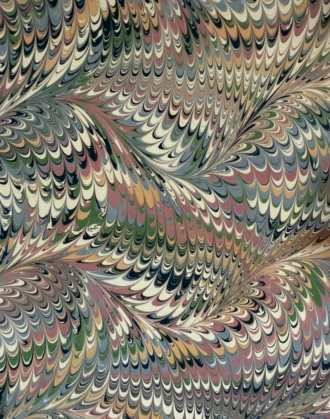 Whirl, Dalloway