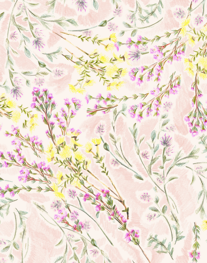 Wild Flower, Blush