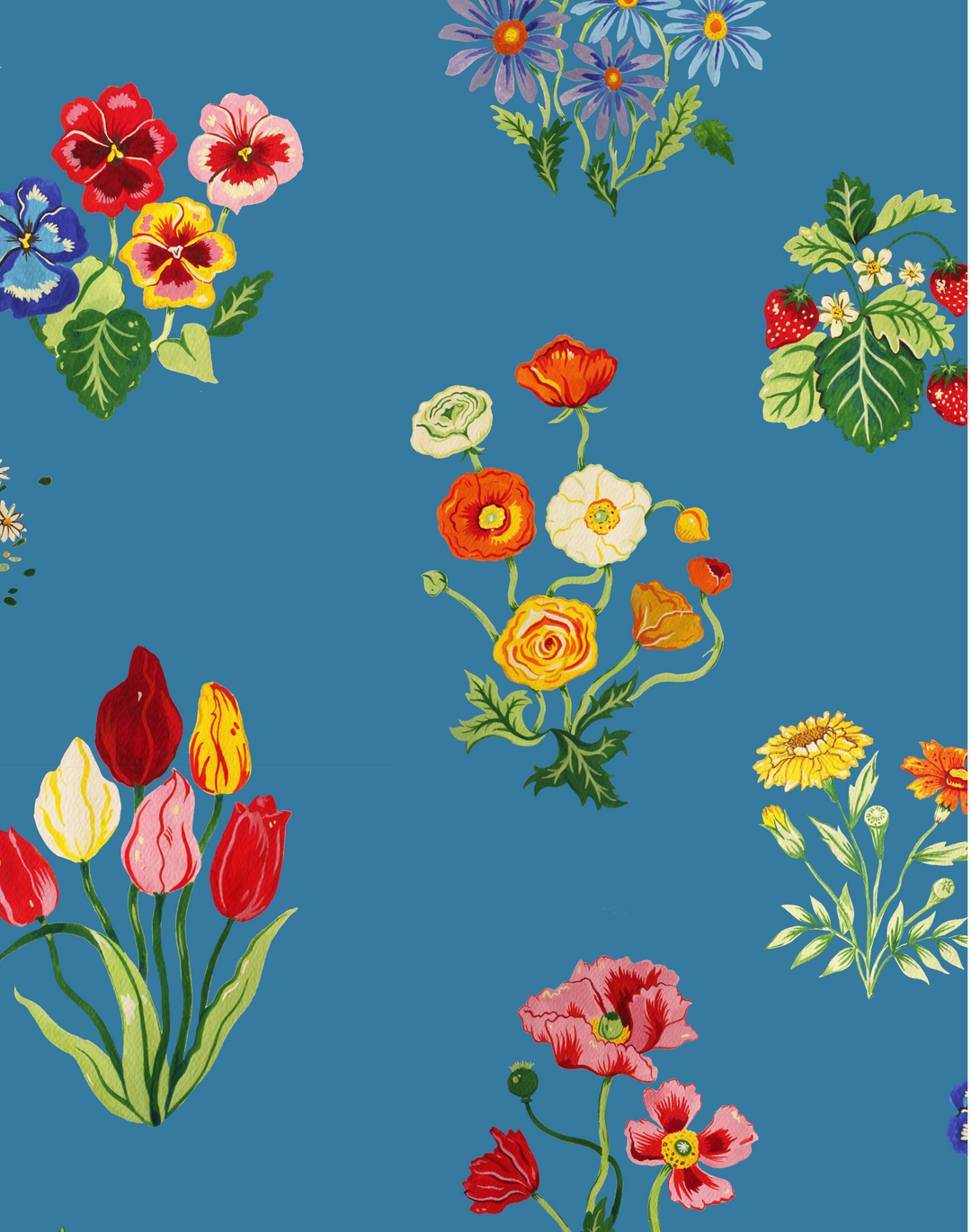 Zenith, Cornflower