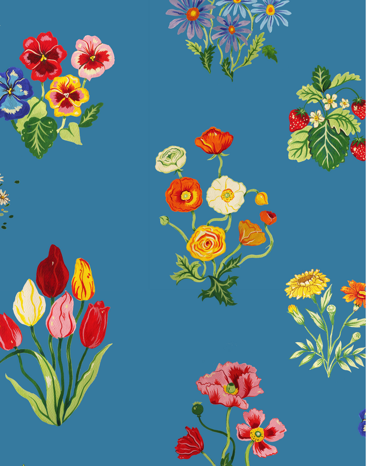 Zenith, Cornflower