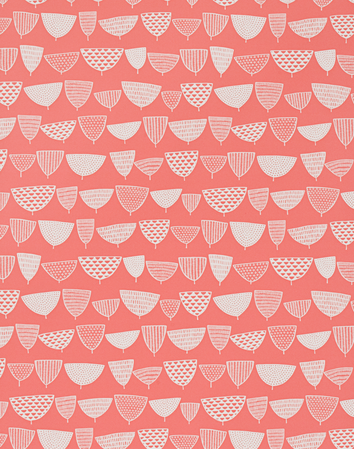 Allsorts, Coral