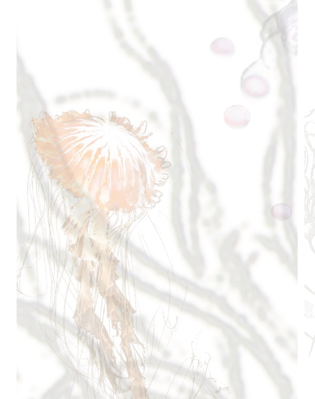 Anemone
