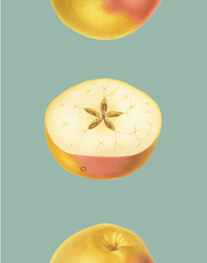 Apple of My Eye, Mint