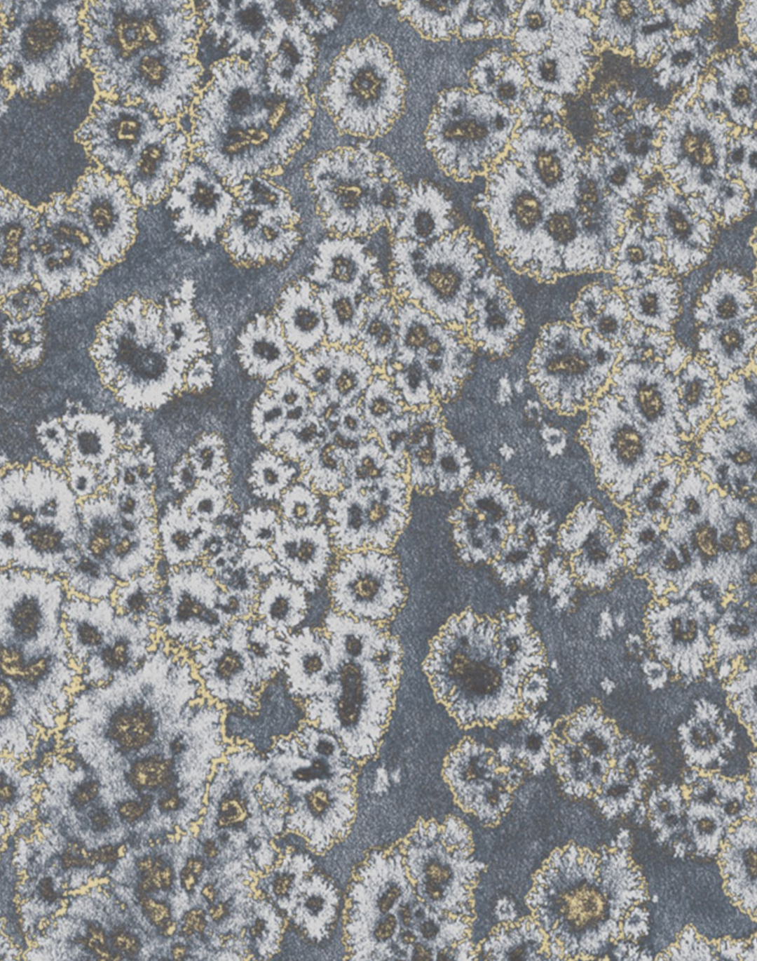 Archipelago Gold, Lagoon