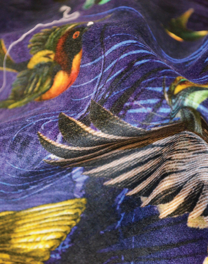 Arrivee des Oiseaux Fabric, Cobalt - Cotton Velvet Fabric
