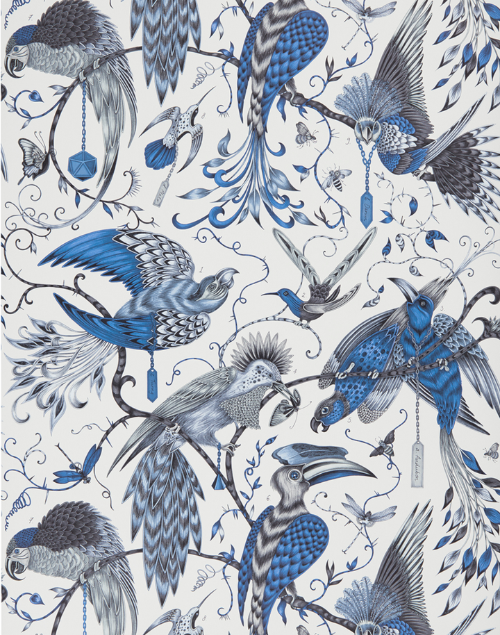 Audubon, Blue W0099-01