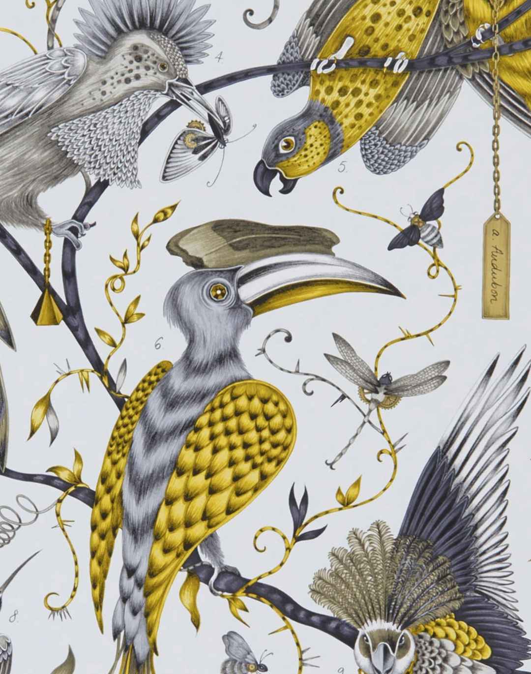 Audubon, Gold W0099-02