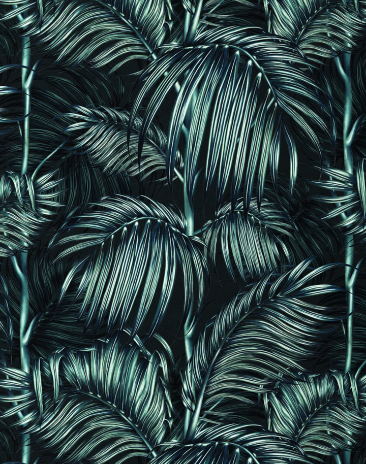 Balearic Palm