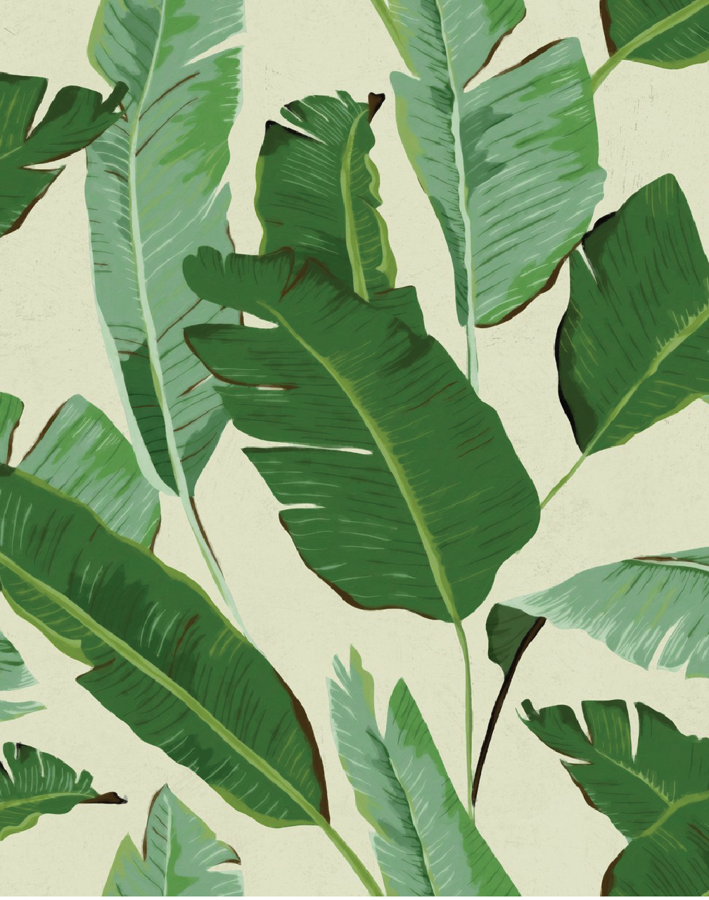 Banana Leaves
