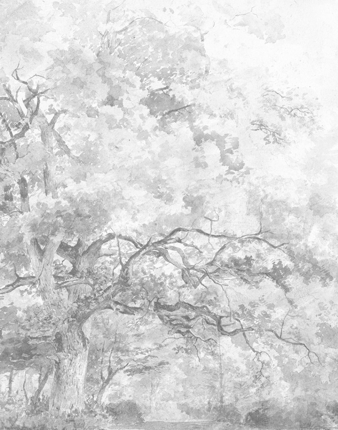 Paradise, Cloud WPLC0471