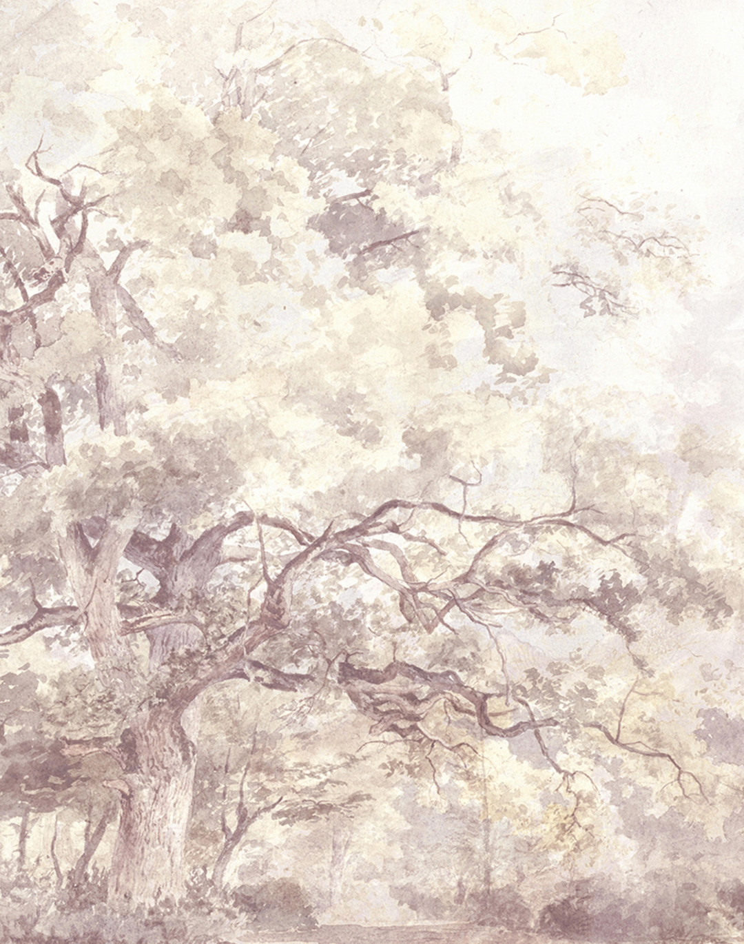 Paradise, Tawny Birch WPLC0476