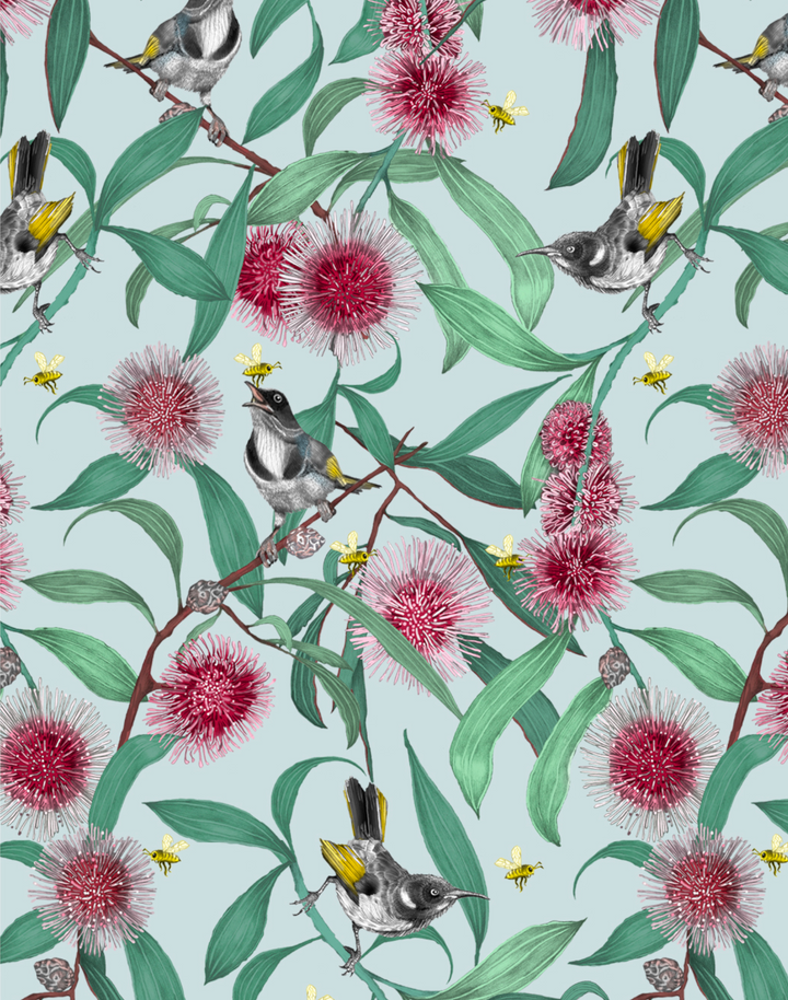 Bees in the Hakea, Baby Blue