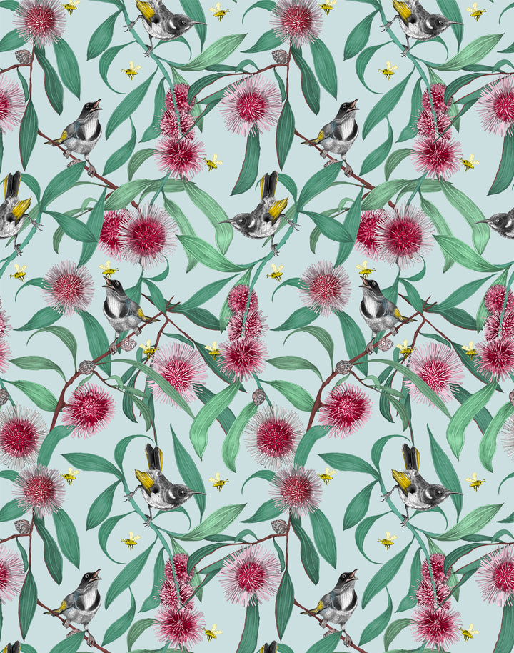 Bees in the Hakea, Baby Blue