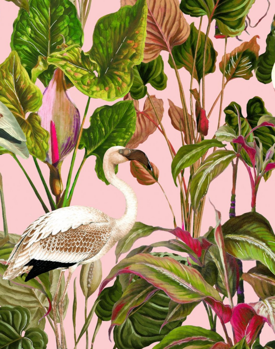 Beverly Hills, Pink