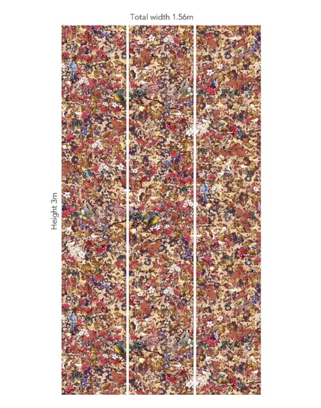 Birds Paradise, Unique