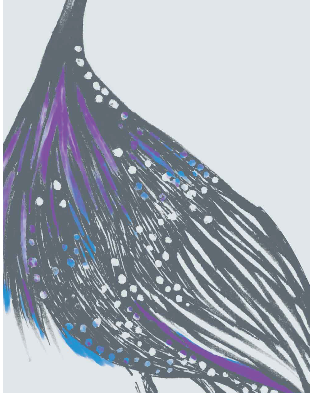 Birds of a Feather, JTBF02