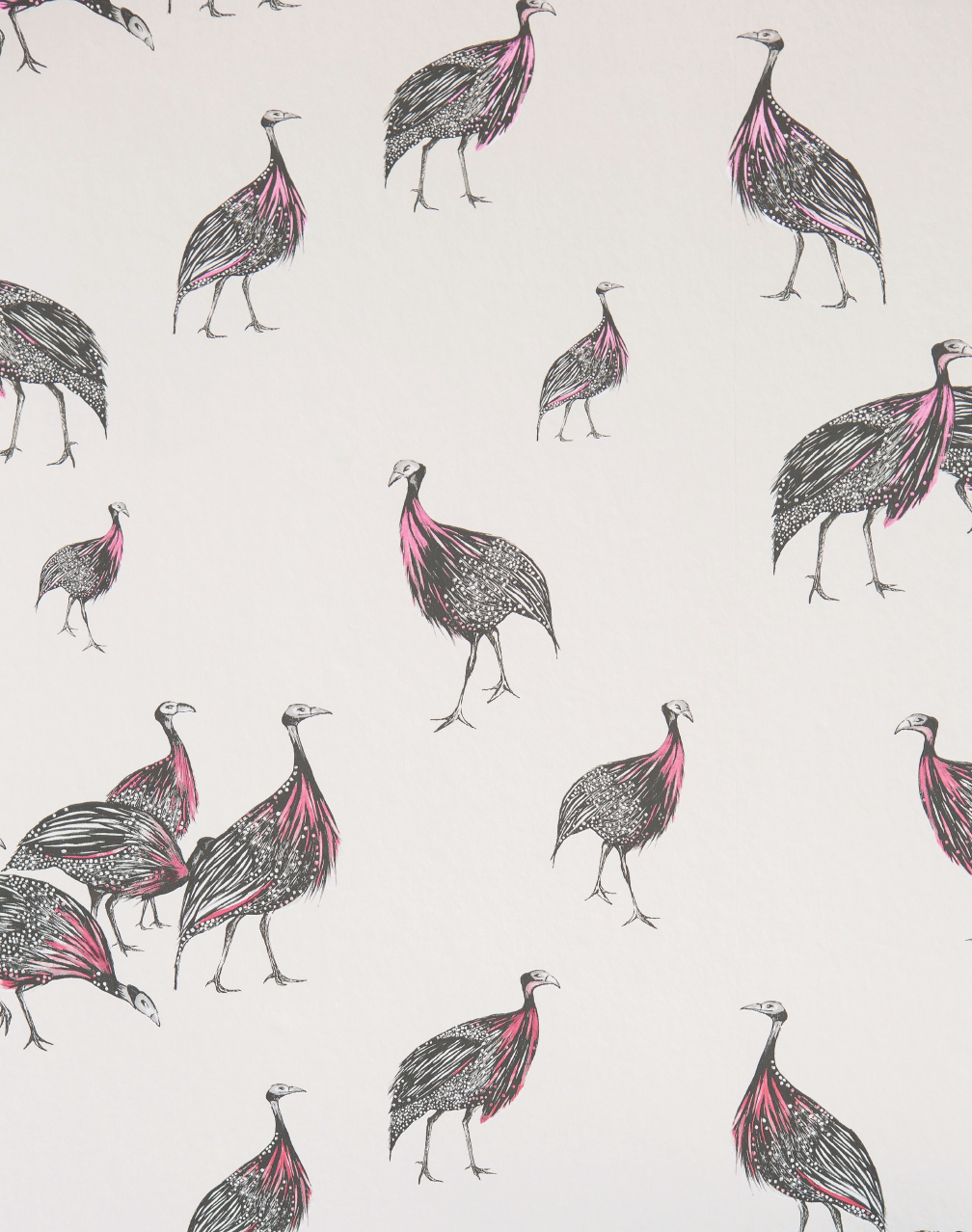 Birds of a Feather, JTBF03