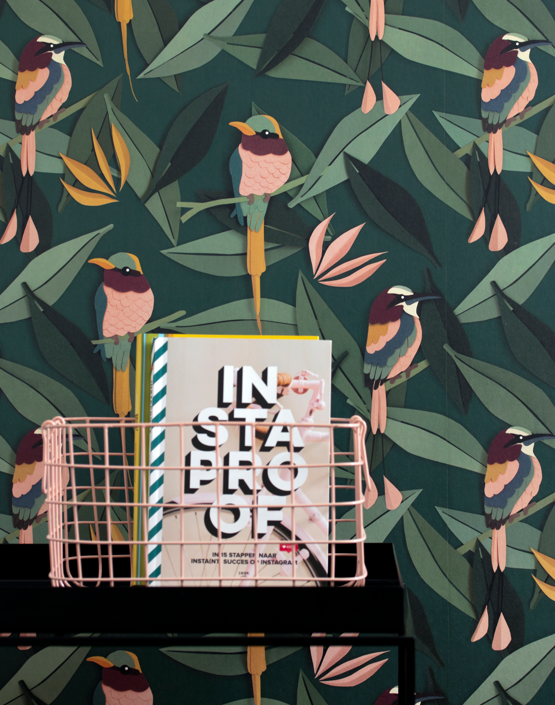 Birds