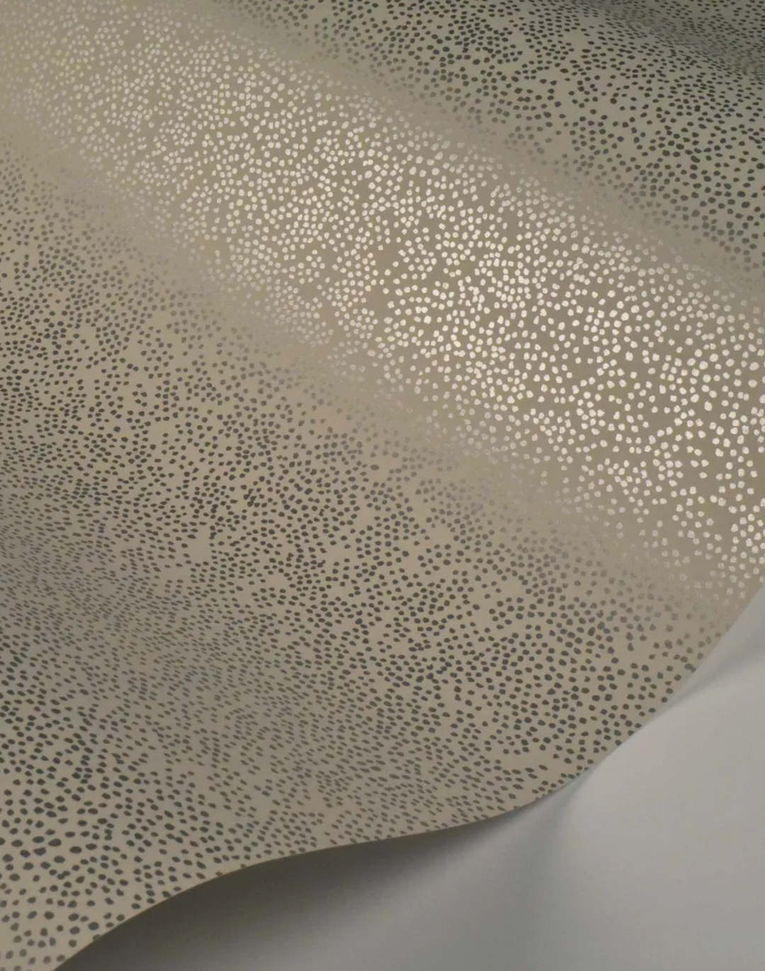 Champagne Dots, Metallic Silver & Linen RI5116