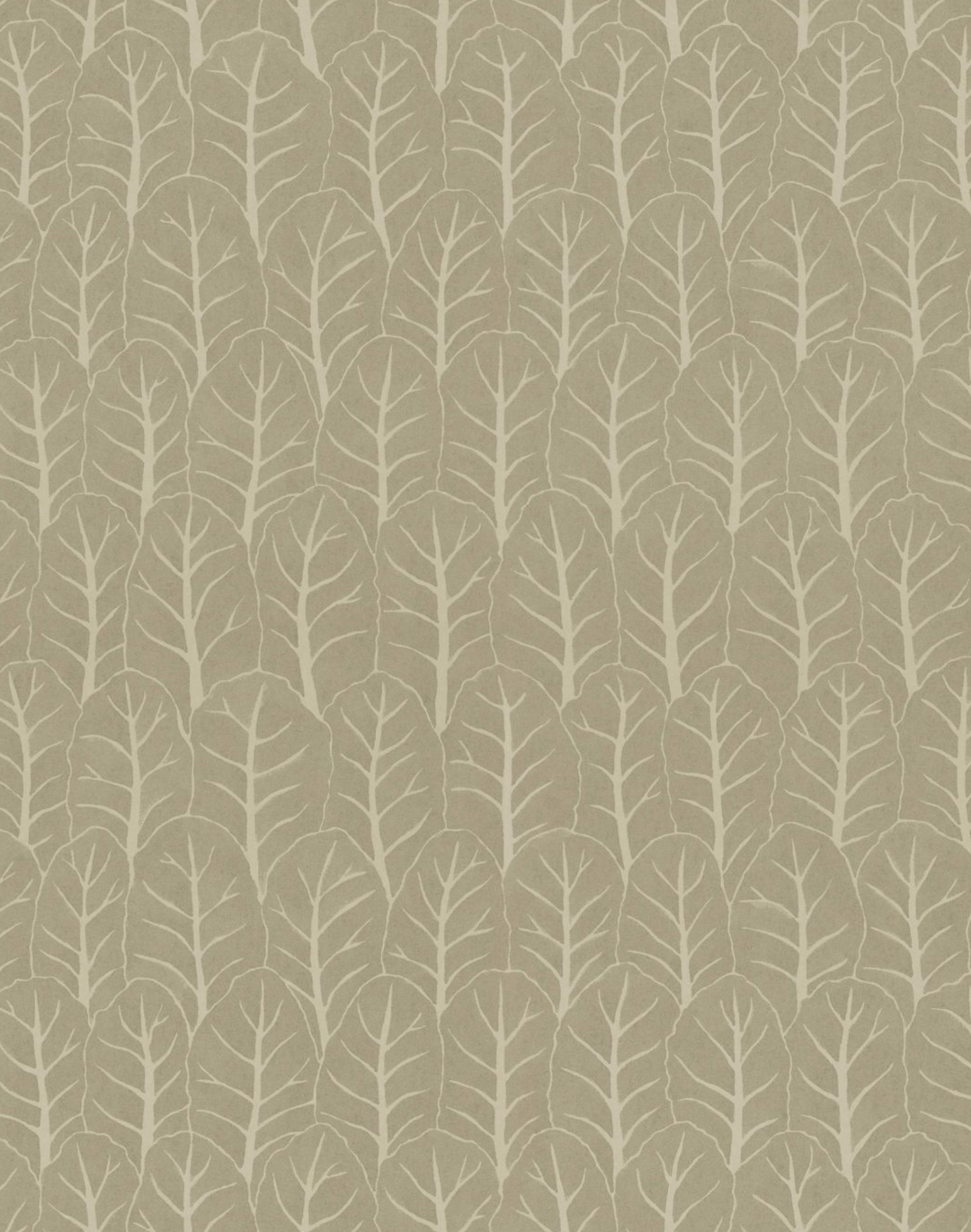 Coleslaw, Taupe