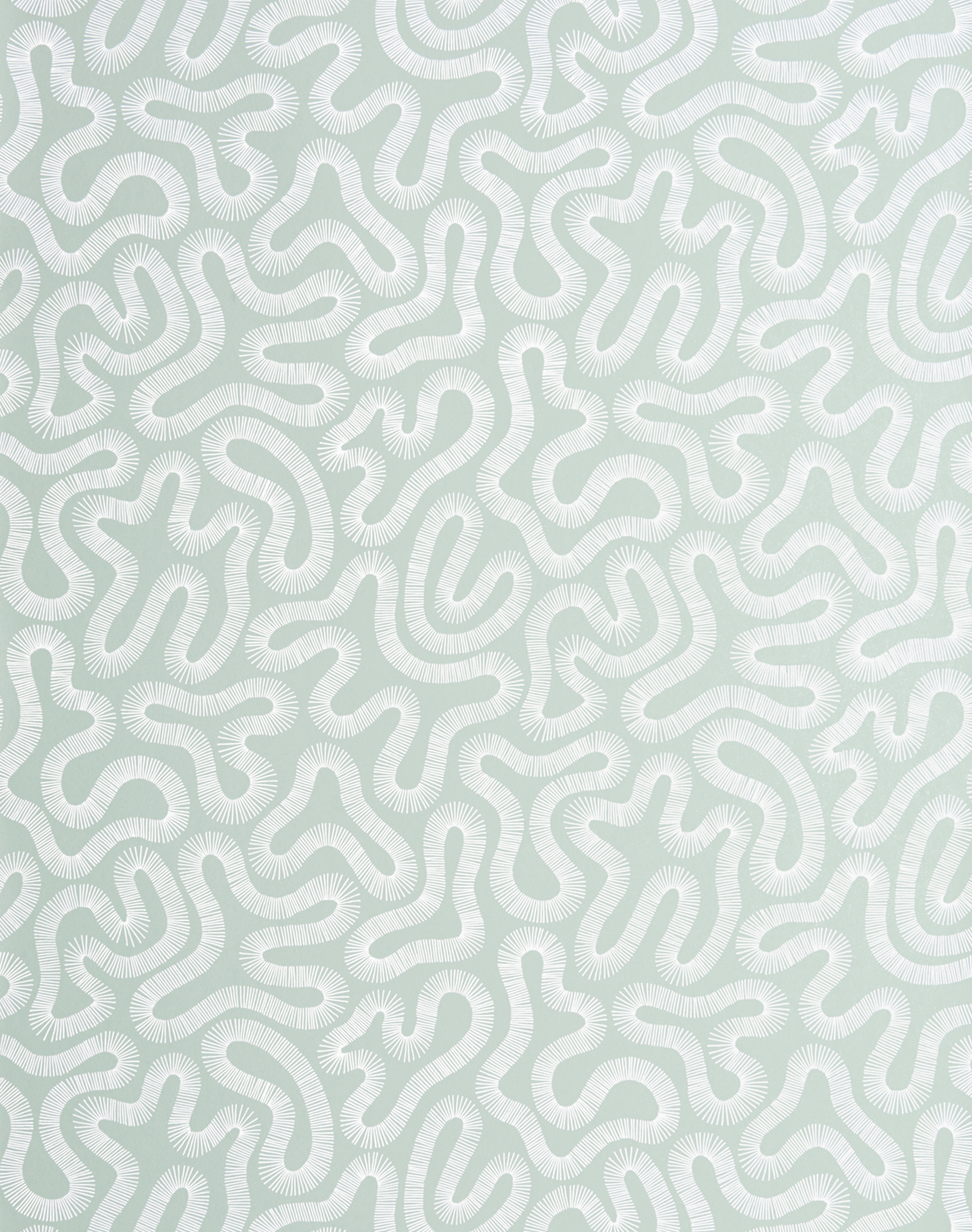 Coral, Celeste