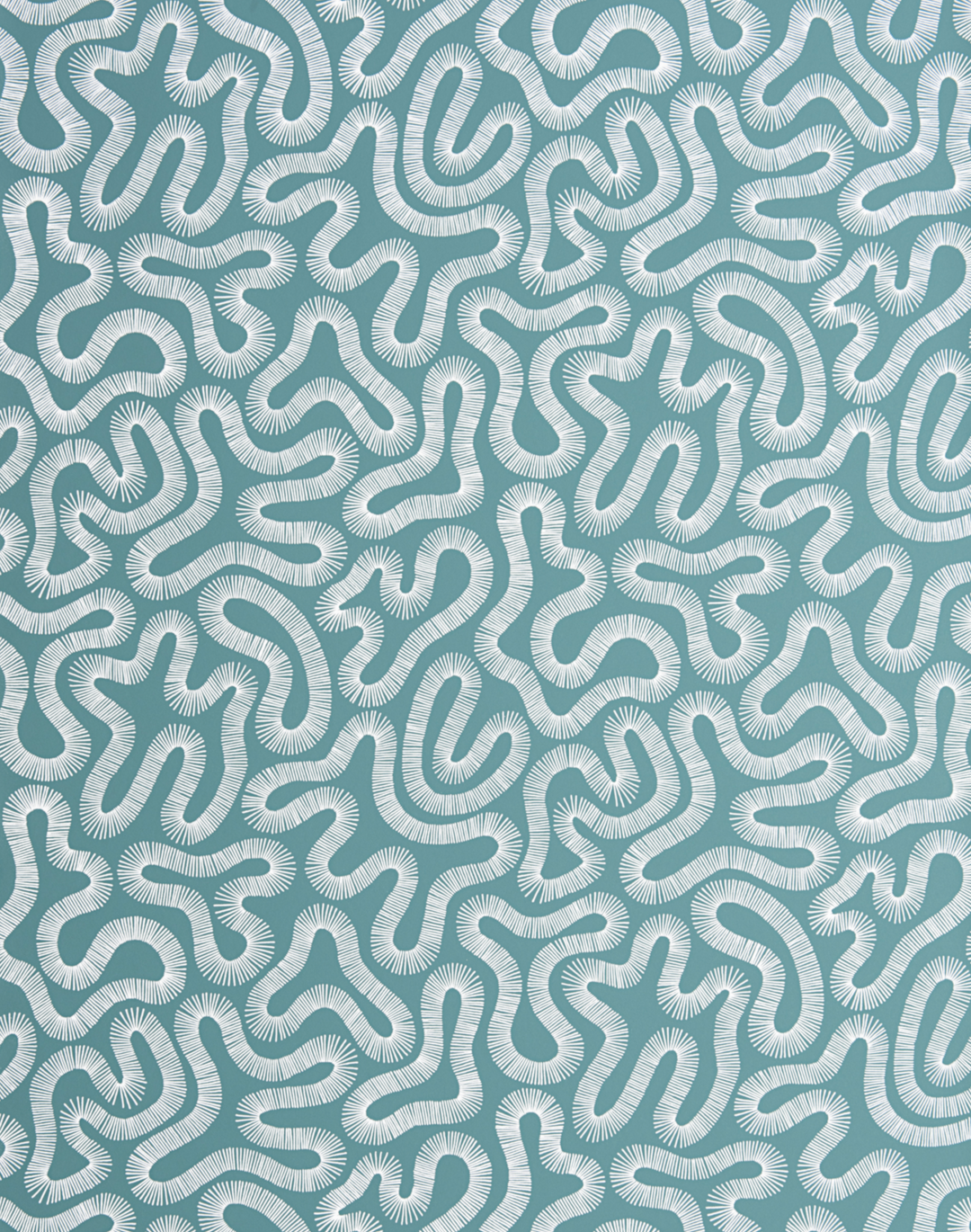 Coral, Teal