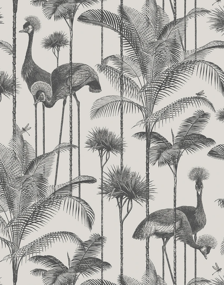 Crane Fonda, Charcoal