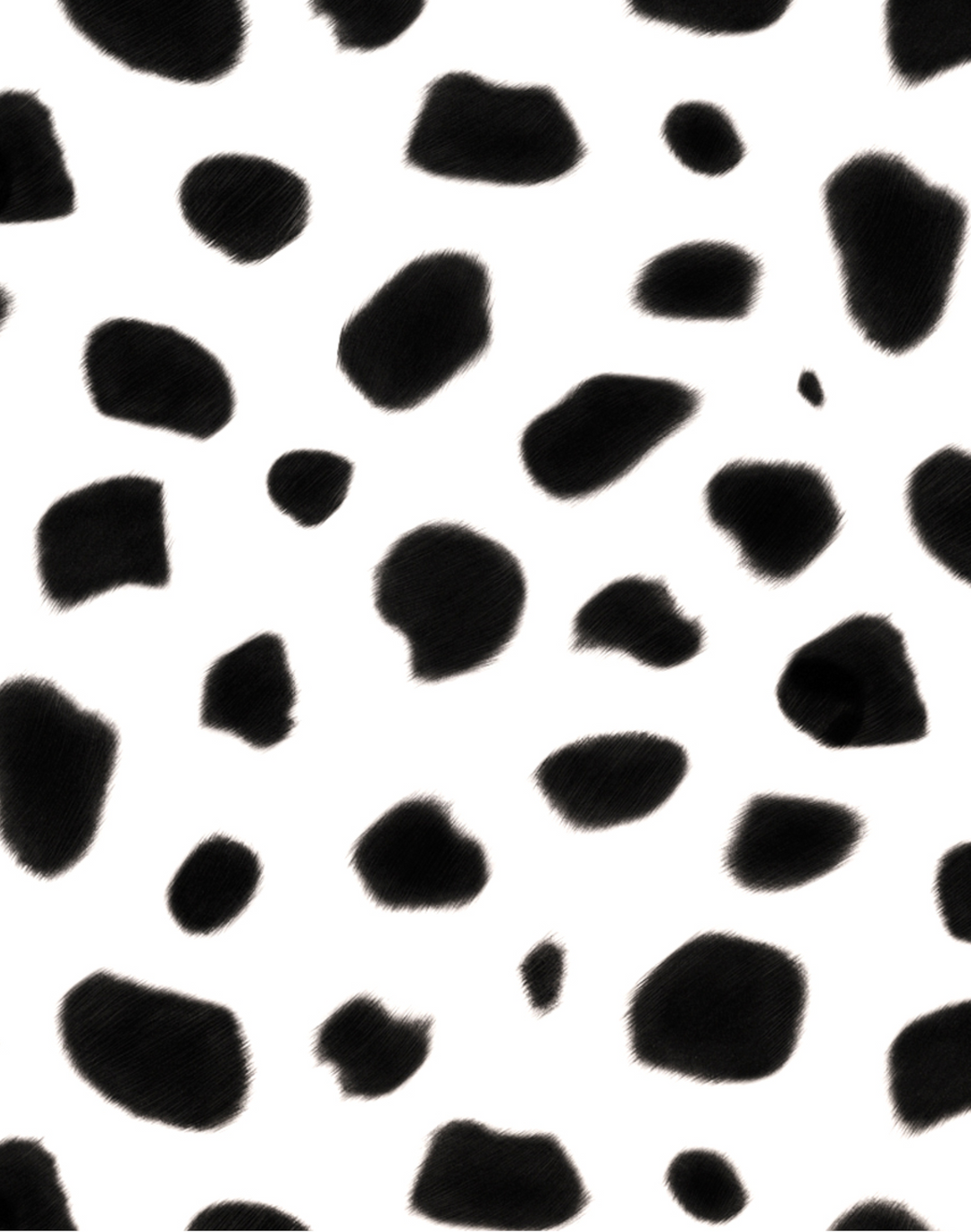 Dalmatian