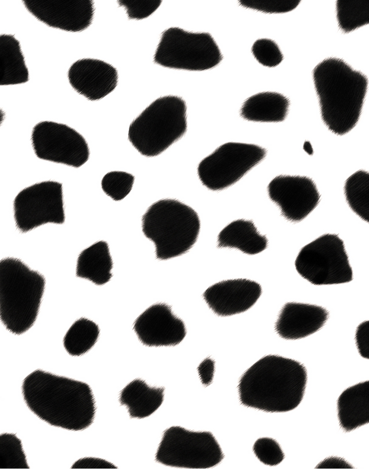 Dalmatian